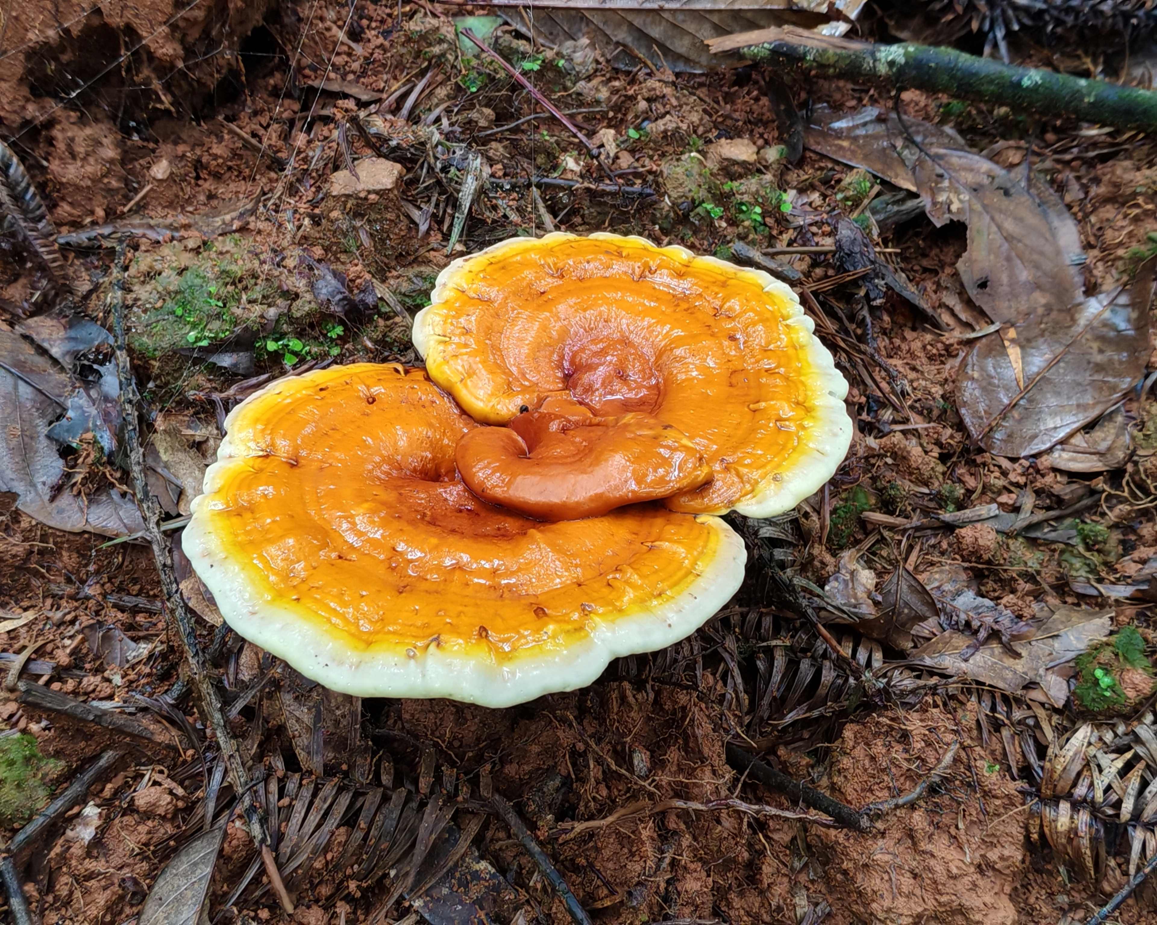 缪建泉会长一行走访会员企业 精准服务助推发展